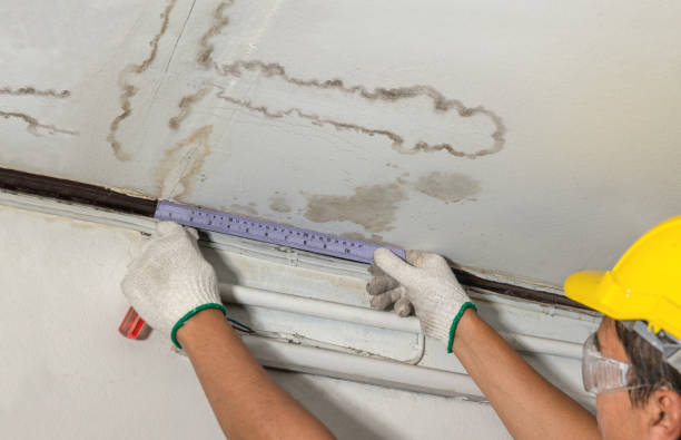 Reliable Burst Pipe Cleanup contractor in Edgerton, MN by Water Damage Irwin
